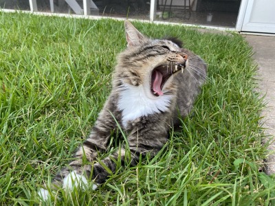 prguitarman:catasters:
