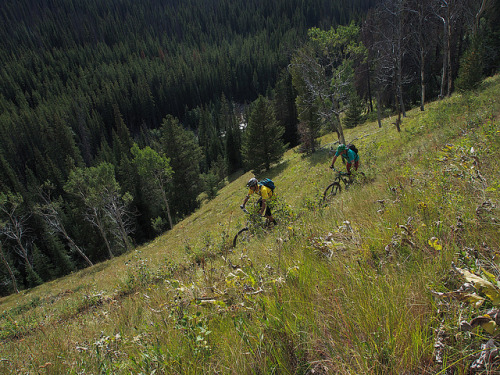fuckyeahmountainbiking:  2013-08-22 at 17-12-44 by Tony Sittlinger on Flickr.