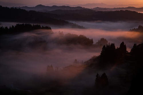 90377:foggy morning by yosuke