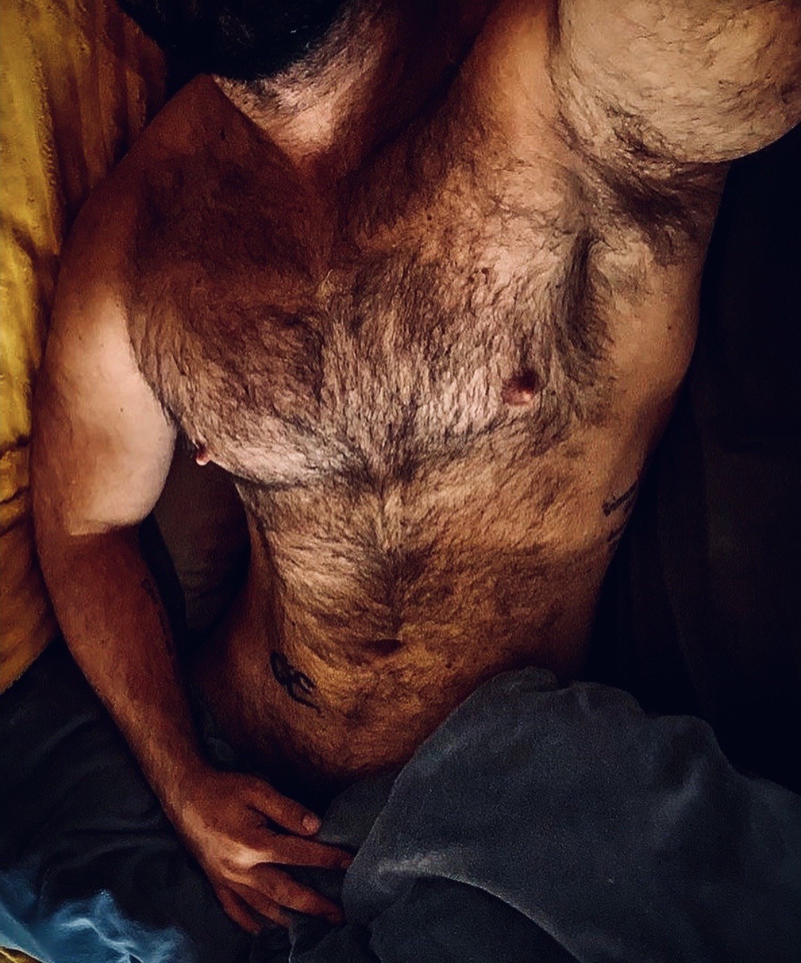 composed1:hairydadsandmuscle:Nice  TÉTONS QUI POINTENT !