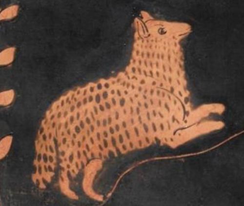 ancientanimalart: Red-Figure Calyx-Kraterca. 400 BCECleveland Museum of Art I’ve seen the Mede