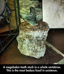 Insert sarcastic comment here...
