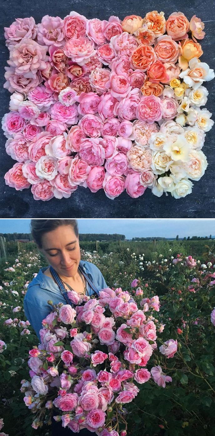 culturenlifestyle:  A Peek Inside the Life of a Florist Florist and photographer