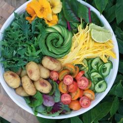 eat-to-thrive:  Garden to table rainbow salad!