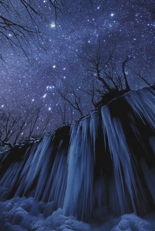 musts:Freezing Cold Night by Takanobu Nushi Nagano, Japan