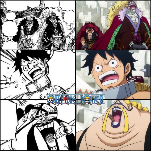 One Piece Chapter 942 Tumblr