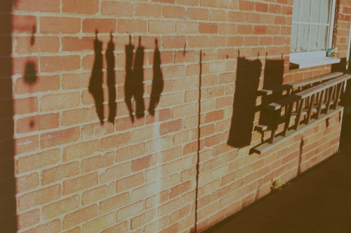 shannenphotographie:Shadows.