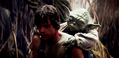 stevenrogered:I want to tell you about someone you remind me of a great deal. His name was Yoda. He was small, like you, but his heart was huge, and the Force was strong in him.