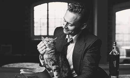 becausehiddles: [ 16/365 ]  edits of Tom Hiddleston