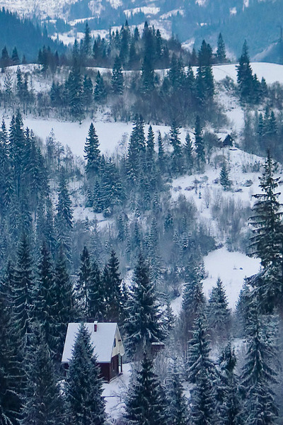 xeverin:   earthdaily:  Untitled (by mckros)  ≡☼≡ 