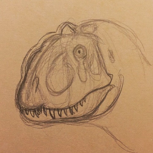 Part From My 20 Min Head Study Of The Abelisaurid Majungasaurus