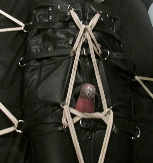 pupaegis: Puppy sacked and very securely roped down to the bed as an electro plug works puppy into a