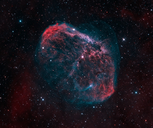 into-theuniverse:  NGC 6888 // Crescent Nebula, with central Wolf-Rayet Star WR 136