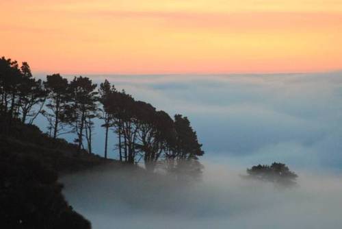 ‎Sunset on Point Reyes, just above the fog line#mountains #nature #travel #hiking #photography #phot