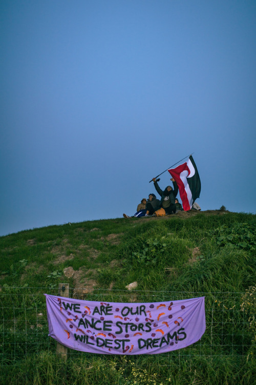 aya-vision:  July 27, 2019 Tangata whenua protecting sacred ancestral Māori land at Ihumātao, South 