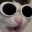 randomzfandomz