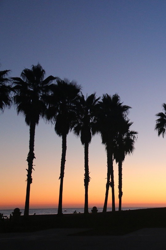 livingpursuit:  Venice Beach by Christian