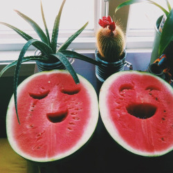Happy melons