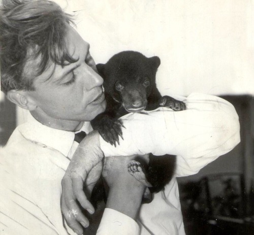 my-retro-vintage:Sir David Attenborough cuddles a bear cub named Benjamin    1956