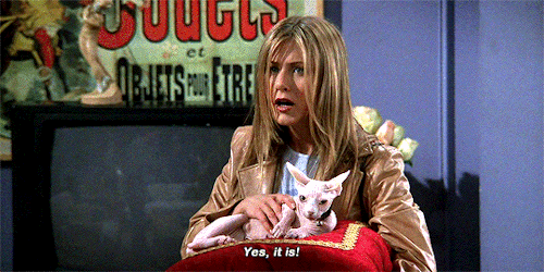 FRIENDS (S05E21) The One With The Ball.