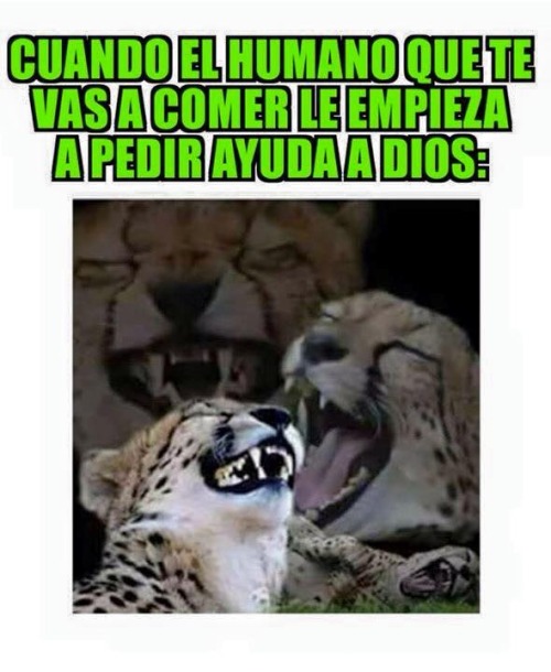 Yo soy Lugash