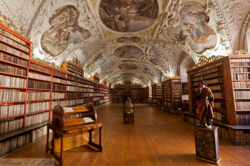 nevver:  la Bibliothèque
