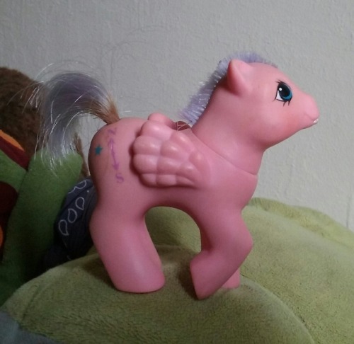 Baby Northstar with a haircut and tail rust. My sister&rsquo;s childhood pony.