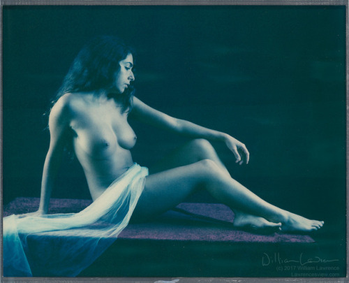 monique-poses: Some Old School Media Some wet plate scans (and one large polaroid) from my session with William Lawrence and Patty Hankins a few afternoons ago. Images copyrighted. Please leave all credit in tact. 