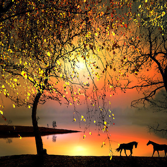 redwingjohnny:   At The Sunset by Igor Zenin        