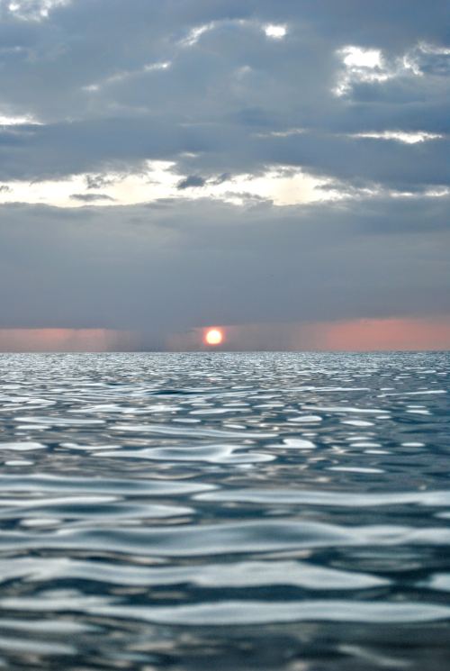 expressions-of-nature:Cabo Rojo, Puerto Rico by Dabir Bernard