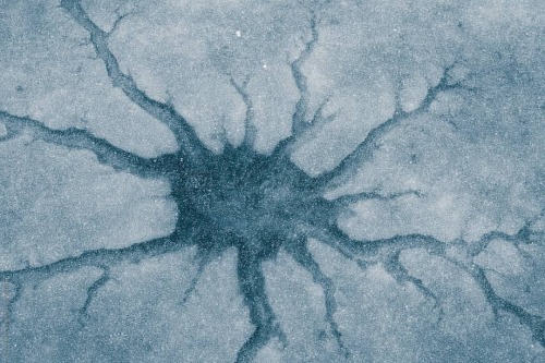 Neuron Always thought that these shapes on frozen lakes look like neurons #photography #art #naturep