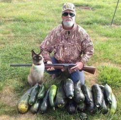 gunsandfireandshit: picsthatmakeyougohmm:  hmmm  Some of you have never been squash hunting and it really shows 