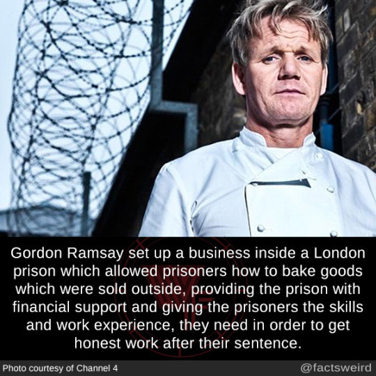 theriu:  ellactra:  badgyal-k:  someclevermoniker:  poorsuzy:  I love Gordon Ramsay so much. He comes from a very poor family. His father was an alcoholic who beat him and his mother (he once poured hot tea over her and put her in hospital several times),