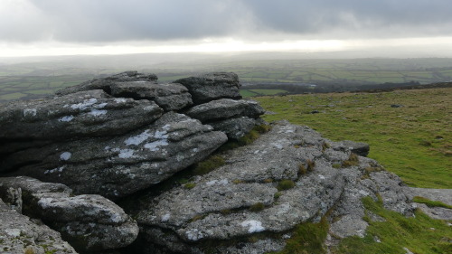 dartmoor