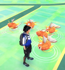 bestofpokemongo:  “This is my reality”(My boyfriend’s house is a Magikarp nest) 