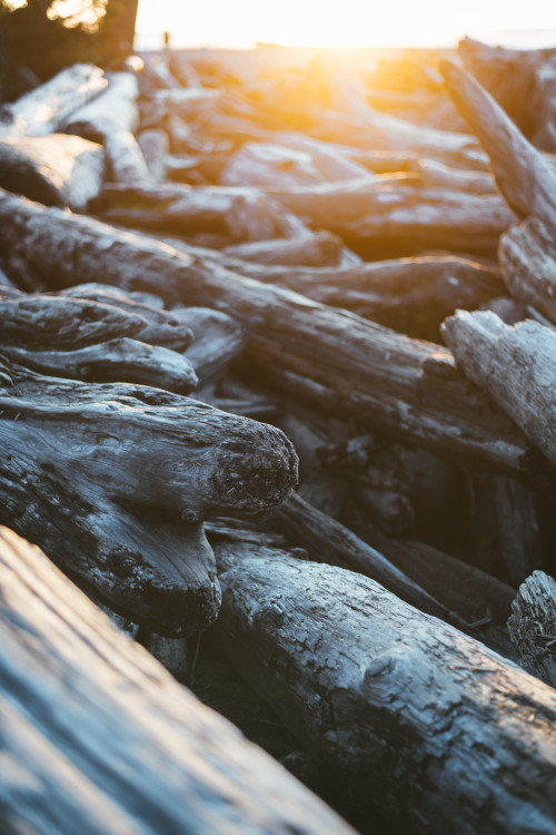 Ruby Beach