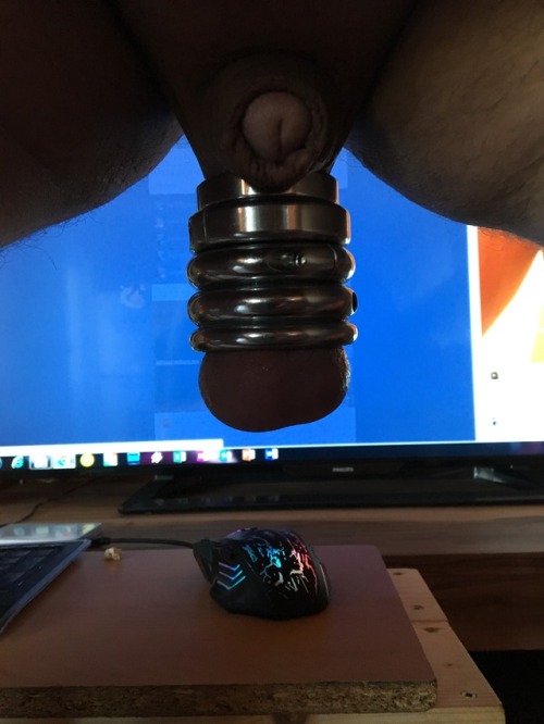 mysticgaycumshot: my new rings on my balls! i love the steel!
