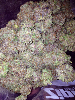 Dank Purps