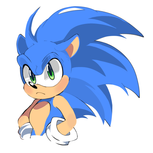 I Added A Little American Sonic Style To My Style, I Think The Result Turned Out Pretty Good.