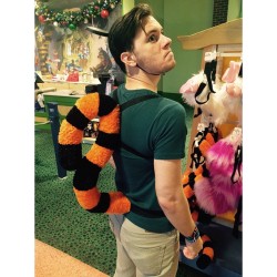 t-rexan:  The wonderful thing about Tiggers