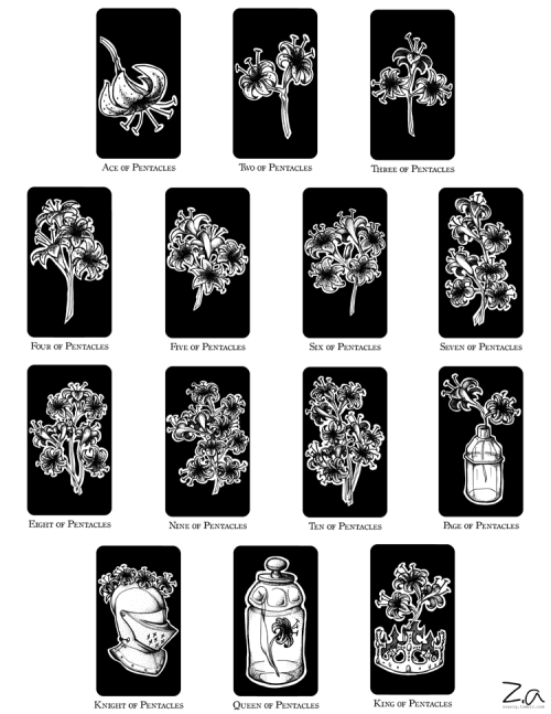 Floral Tarot - Suit of PentaclesFor this year’s Inktober, I decided to make a whole tarot deck in a 