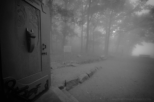 walpurgishall - Walpurgishalle in the witchy mists of October...