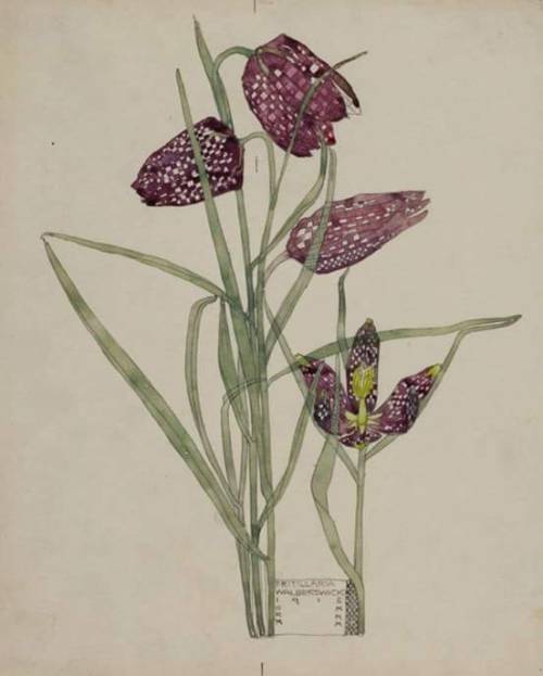 mitakuye-oyasinn:Charles Rennie MackintoshFritillaria, 1915