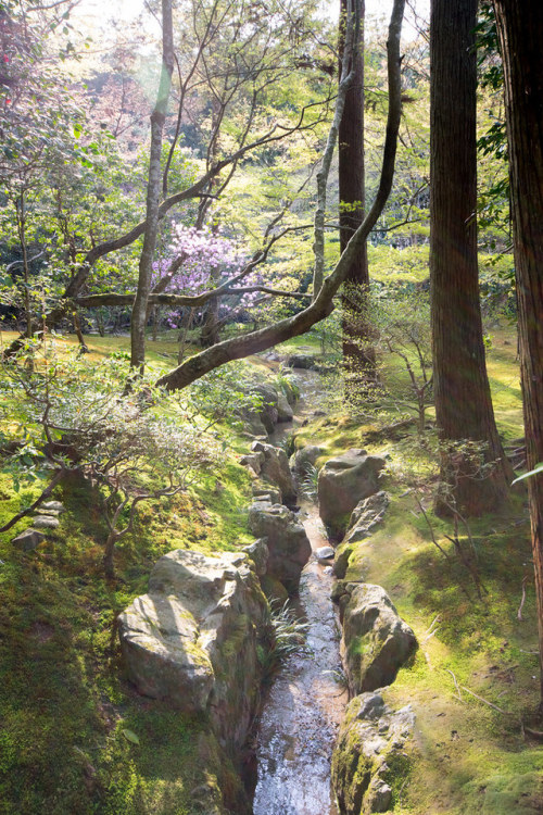 ashotasfireandasdeepastheocean: vurtual: Kyoto-shi, Kyoto Prefecture, Japan (by kayteeknee) Beauty o