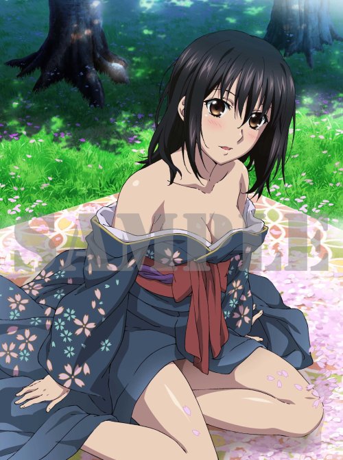 ipscell:http://www.strike-the-blood.com/#/bluray