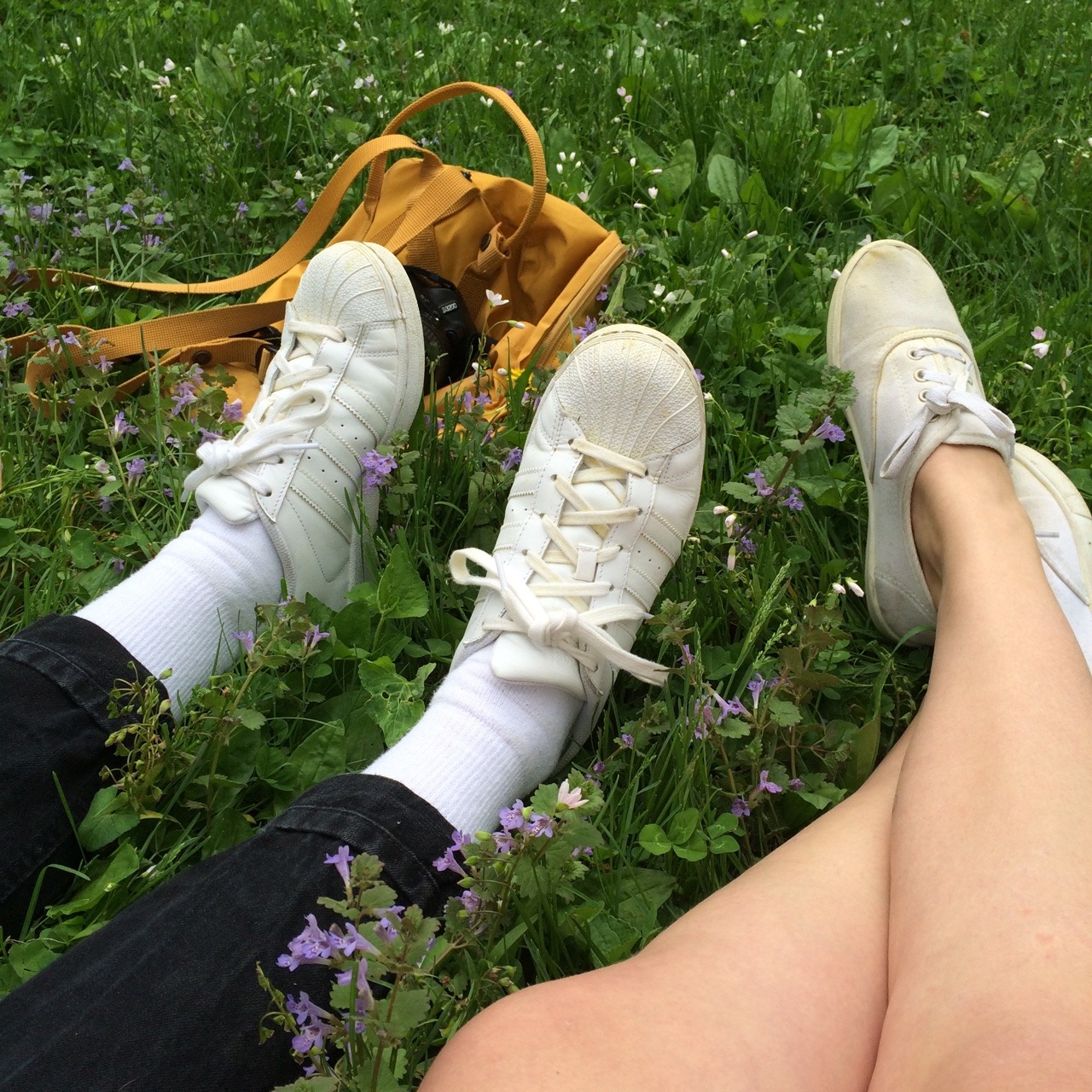 inbetweeninq:  last Wednesday with littlebirdy-bigworld 