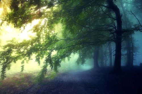 adeladulindwen:“ The mist teaches us that the road of life can be a road of peace , awe and wo