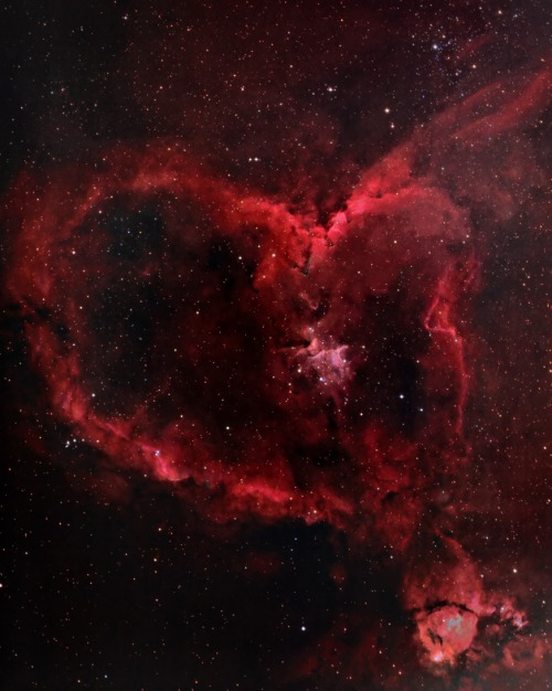 crimsonkismet:The Heart Nebula, IC 1805, Sharpless 2-190, lies some 7500 light years away from Earth