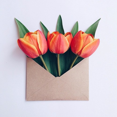 mymodernmet - Delicate Arrangements of Vibrant Flowers Complement...