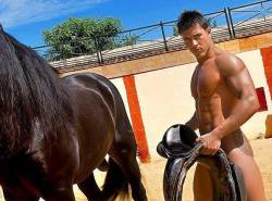 nice ahhhhum horse&hellip;